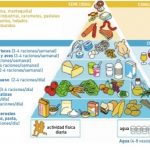 lacteos-en-la-piramide-alimenticia