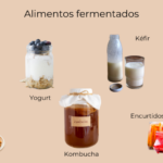 Los alimentos fermentados