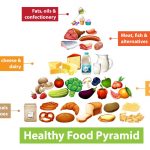 Niveles de la pirámide alimenticia