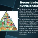 Nutrición – ¿Cuáles son las necesidades nutricionales?
