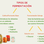 Tipos de fermentación